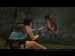 Lara vs. Raptor